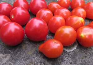 Vergleich der Tomatensorten Ruthje und Sibirisches Birnchen